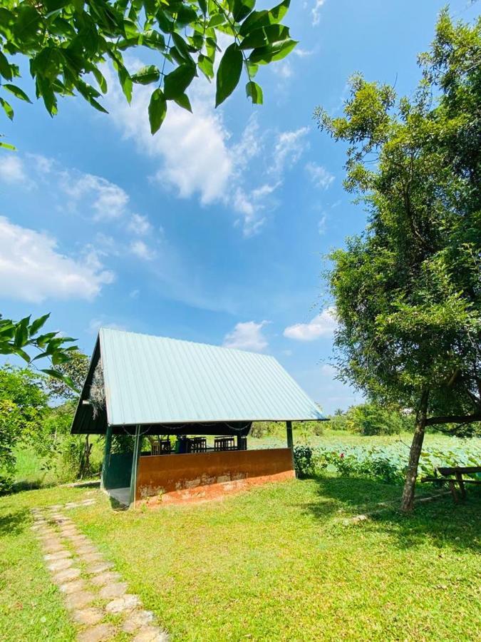 Meegahapokuna Resort Anuradhapura Exterior photo