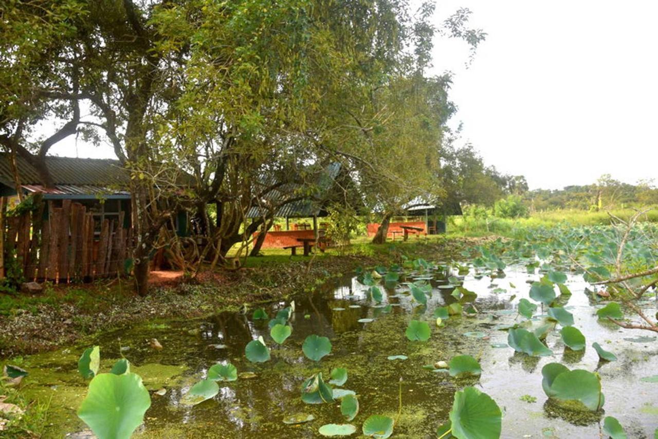 Meegahapokuna Resort Anuradhapura Exterior photo
