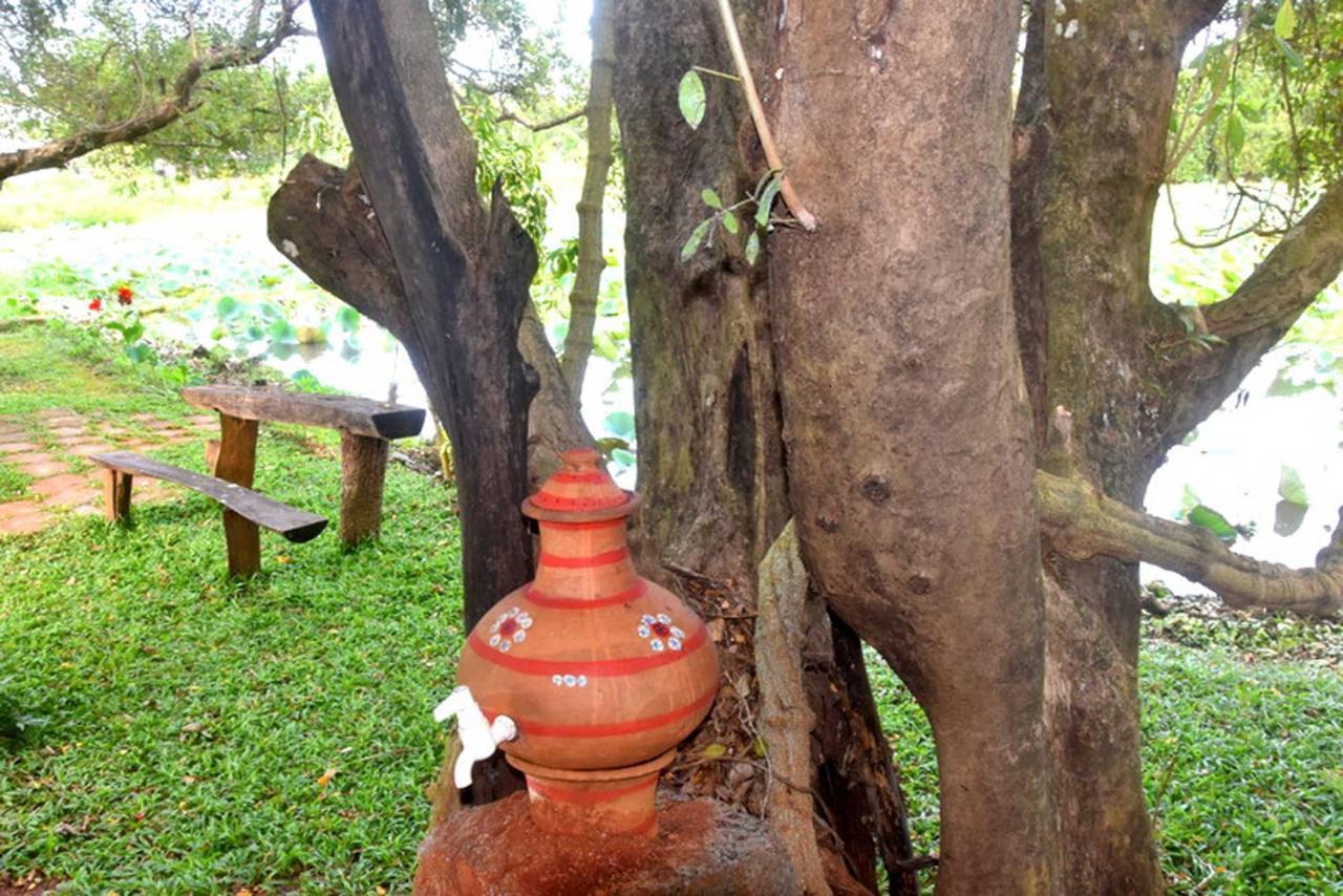 Meegahapokuna Resort Anuradhapura Exterior photo