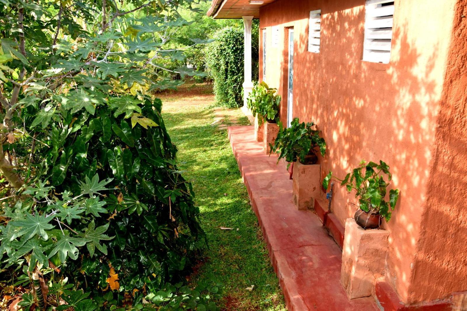 Meegahapokuna Resort Anuradhapura Exterior photo