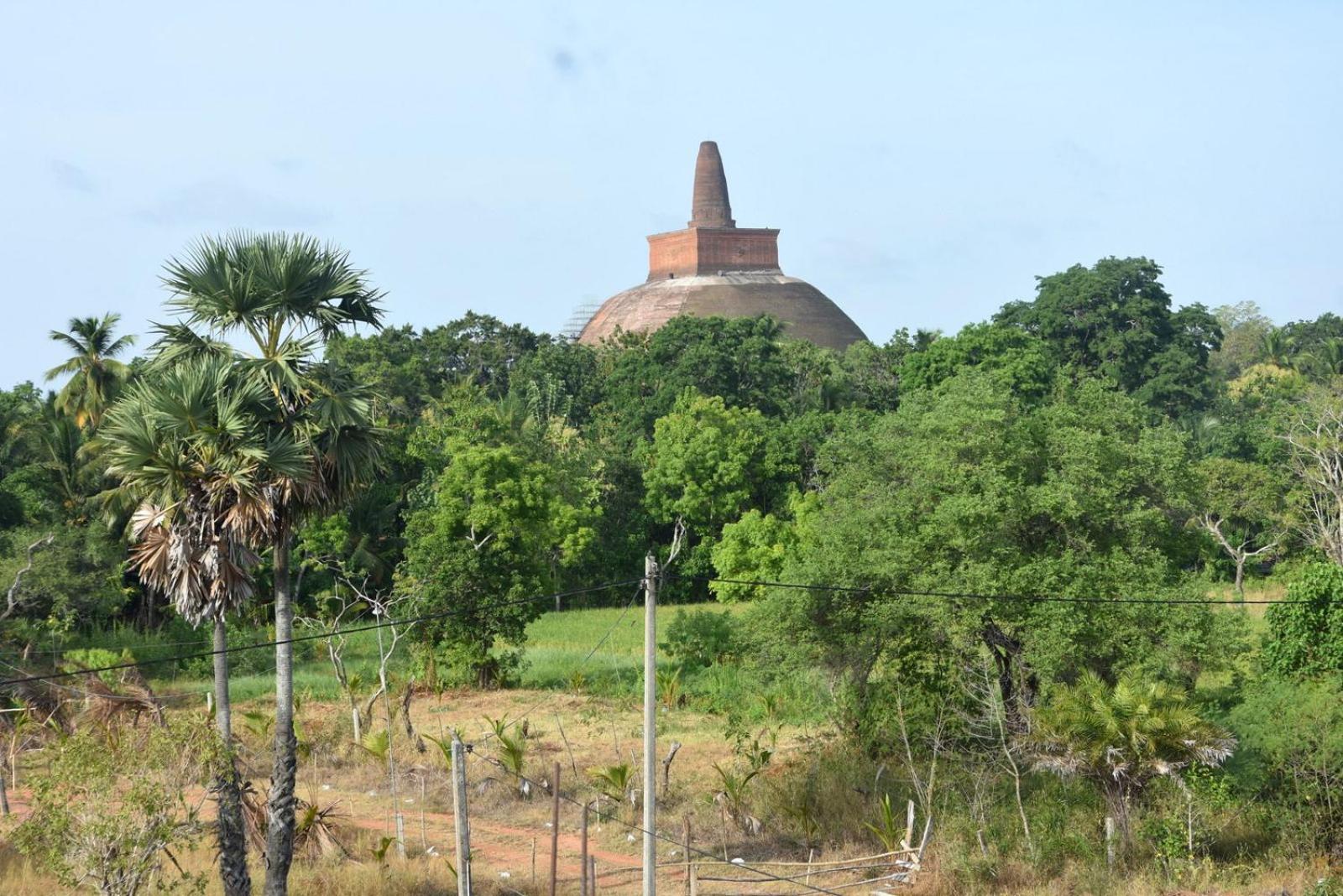 Meegahapokuna Resort Anuradhapura Exterior photo