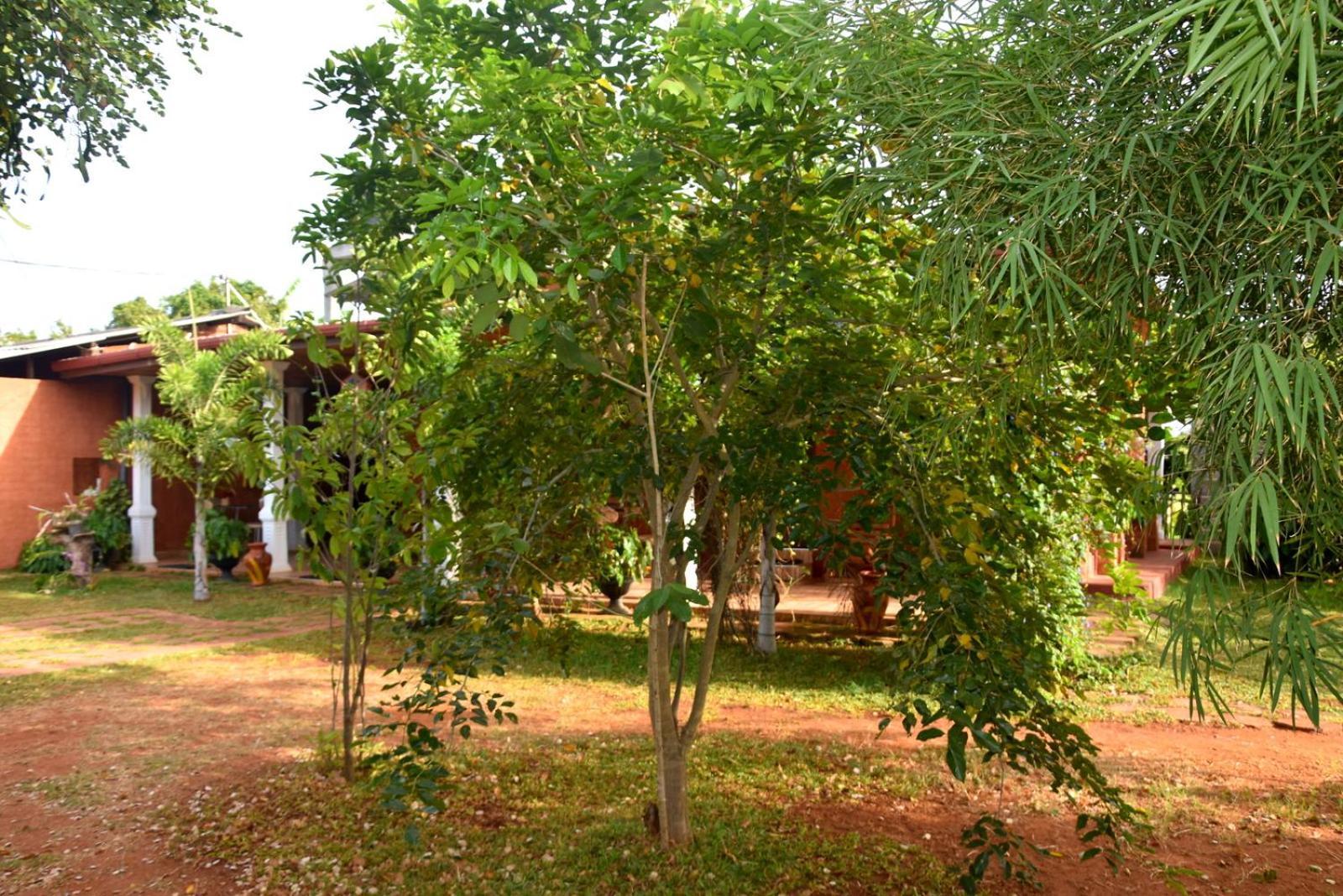 Meegahapokuna Resort Anuradhapura Exterior photo